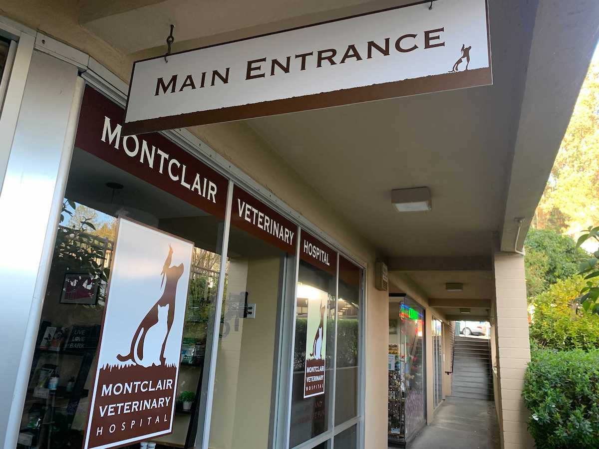 Montclair Veterinary Hospital closes, blindsiding staff and customers