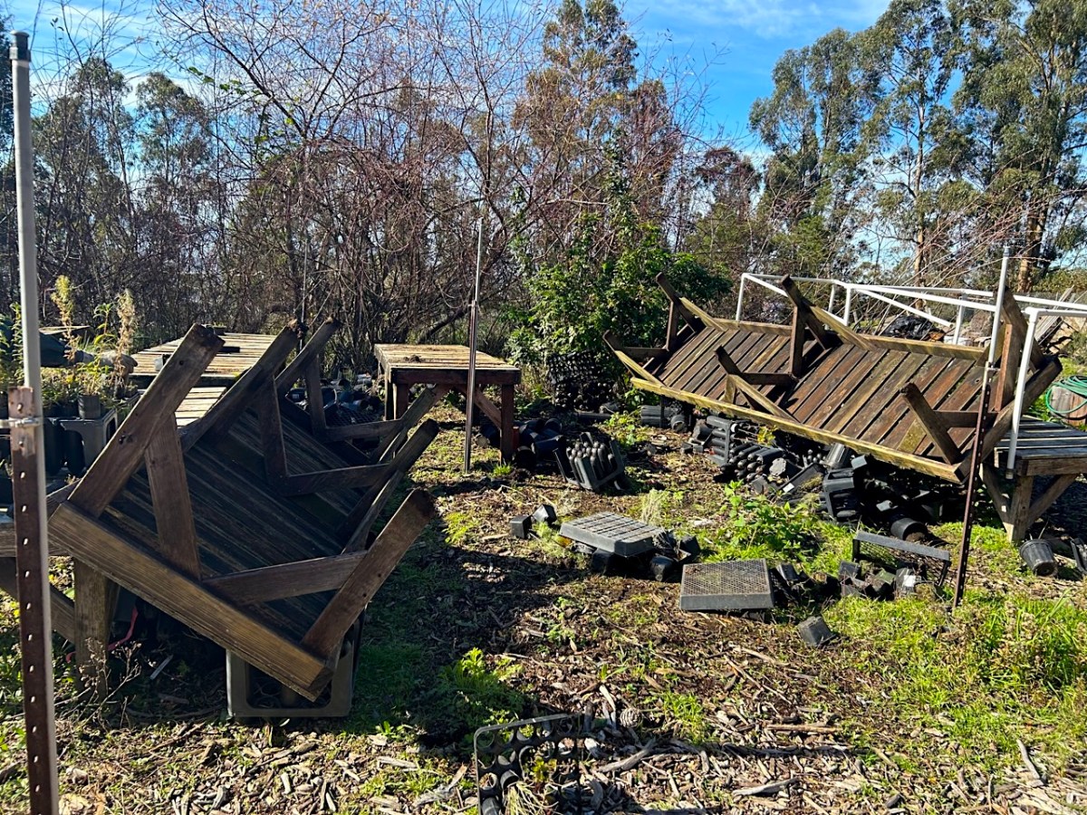 Overturned wooden tables and scattered plants at a nursery