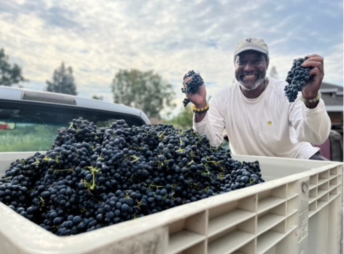 Oakland winemaker Don Henderson stands smiling behind a crate of grapes, holding up two bunches.