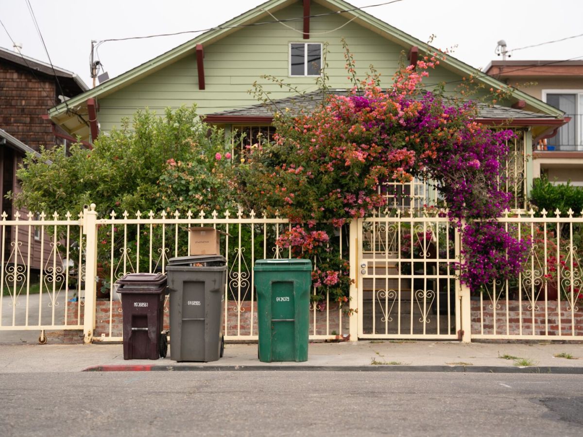 Trash, recycling, and compost bins sit on a curb in front of a small flower-covered house.