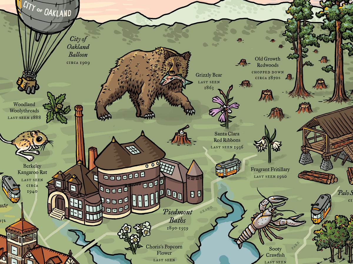 And illustration of Oakland with a grizzly bear, old-growth redwood trees, a hot air balloon, and other items that once existed in Oakland but are no longer visible.