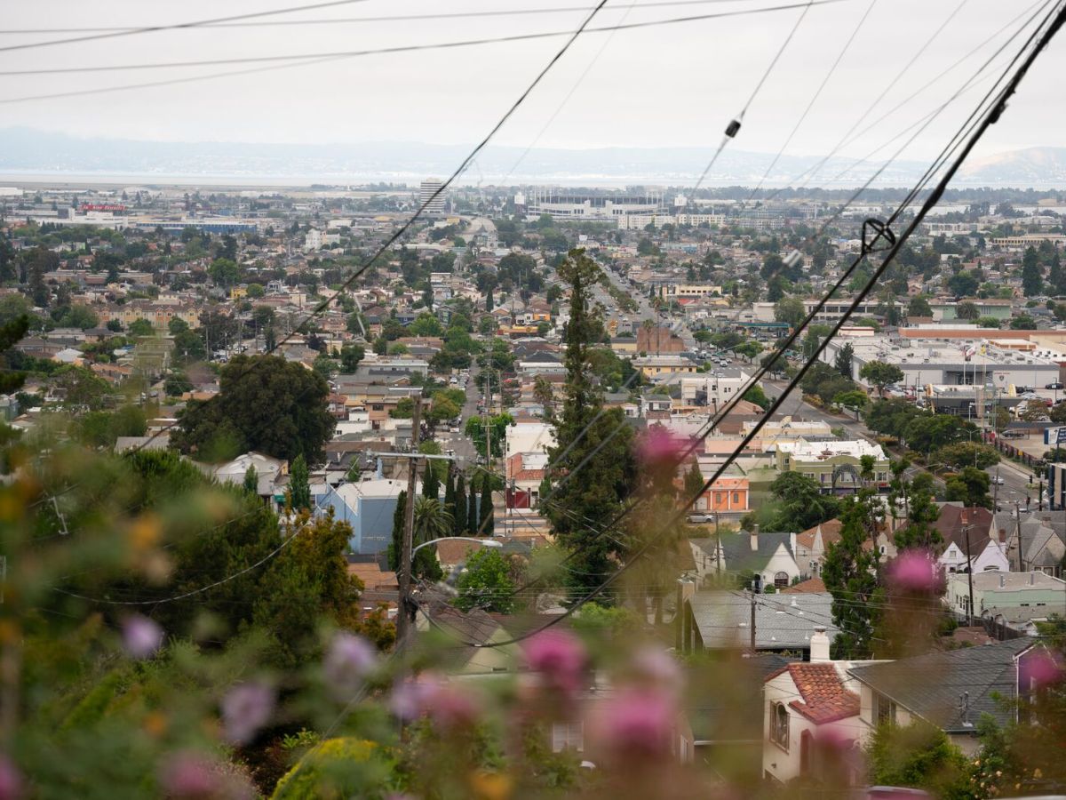 A wide shot looking down at homes in a residential neighborhood stretching on for many blocks with flowers and a telephone pole in the foreground.