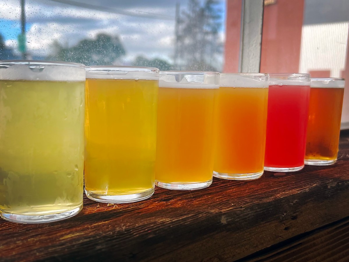 A flight of six different beers from Brix Factory Brewing is arranged in a line on a wooden counter.