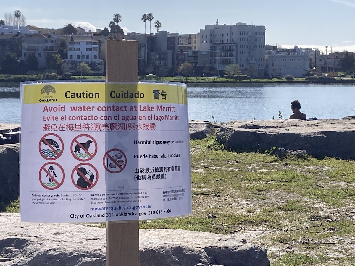 A sign posted on a wooden stick in front of a lake warning people to avoid contact with the water.
